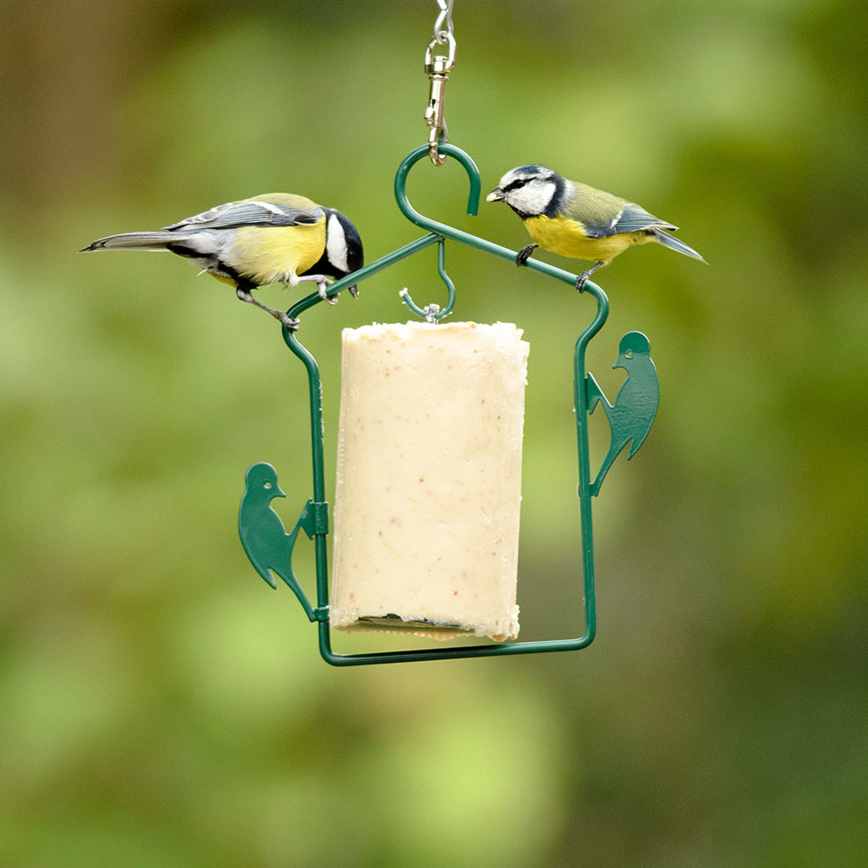 National Trust Suet Cake Hanger (for 500ml tubes)