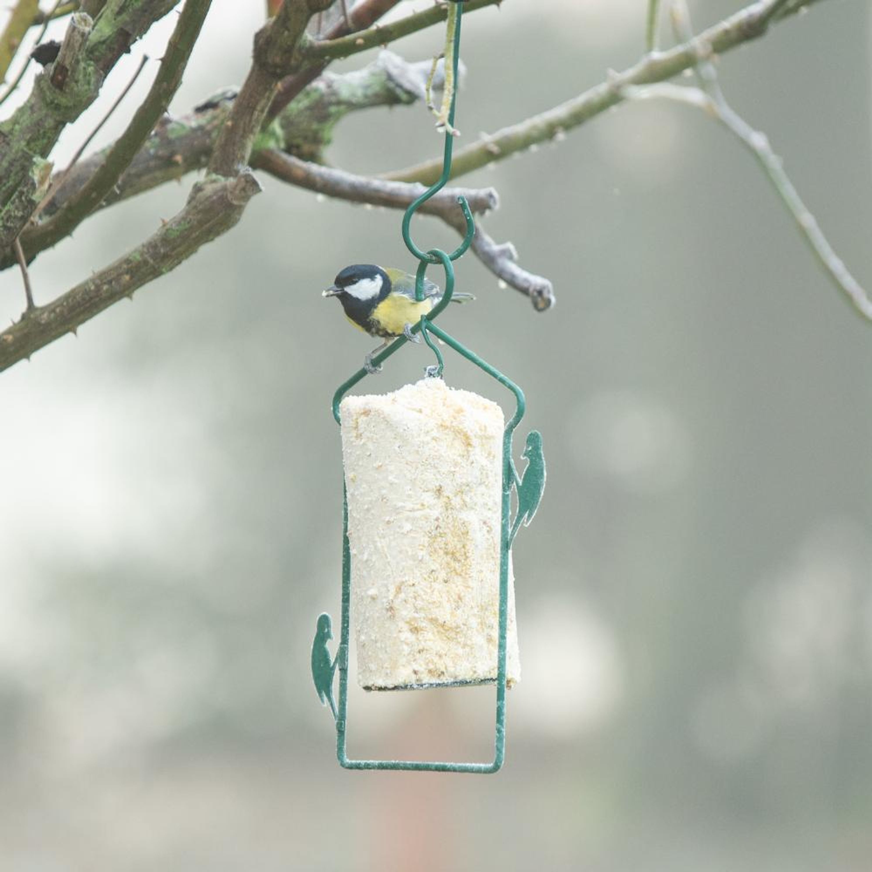 Aufhängung für Energiekuchen 1000 ml | CJ Wildlife