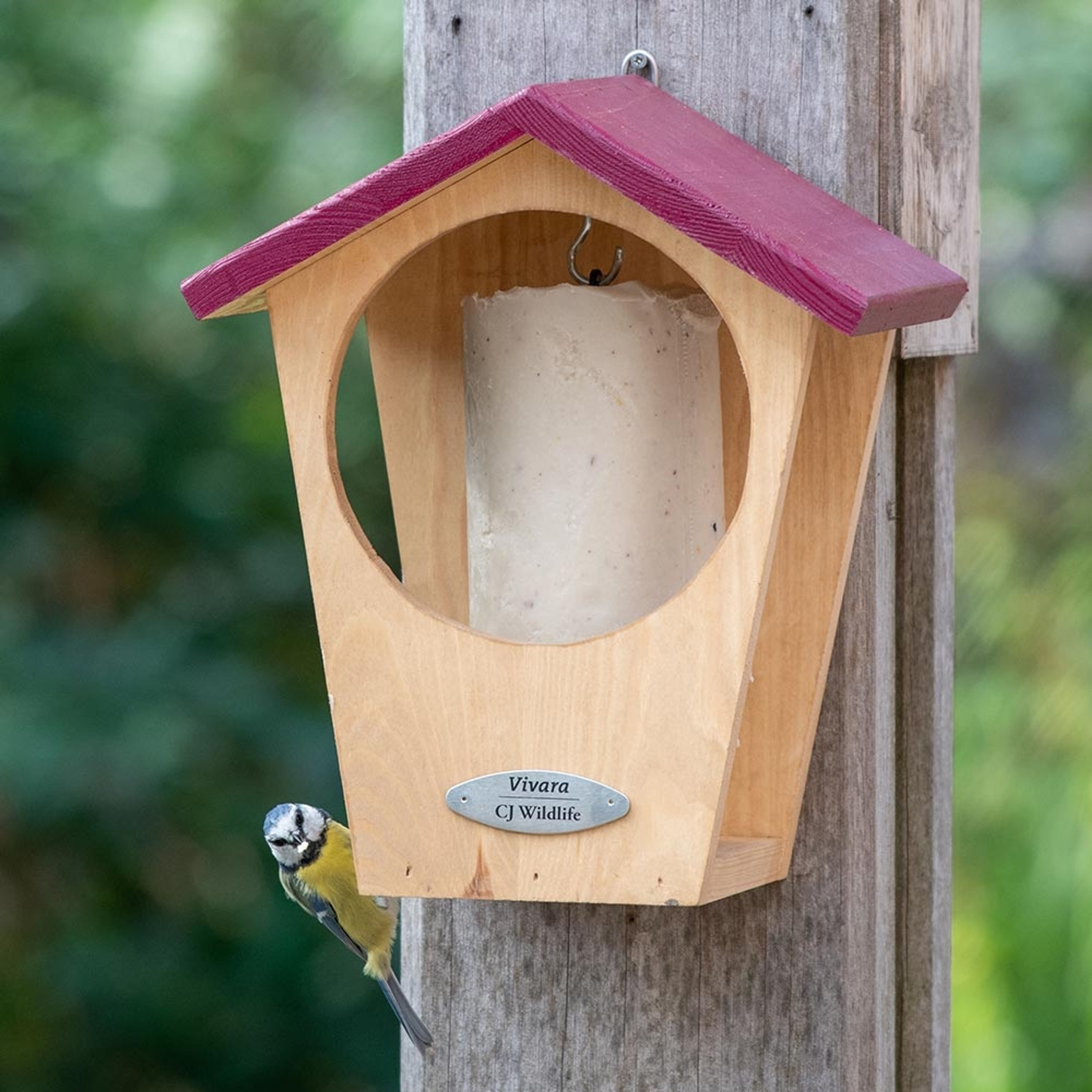 Oregon Suet Cake Bird Feeder