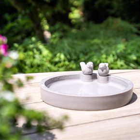 Thunersee Water Dish