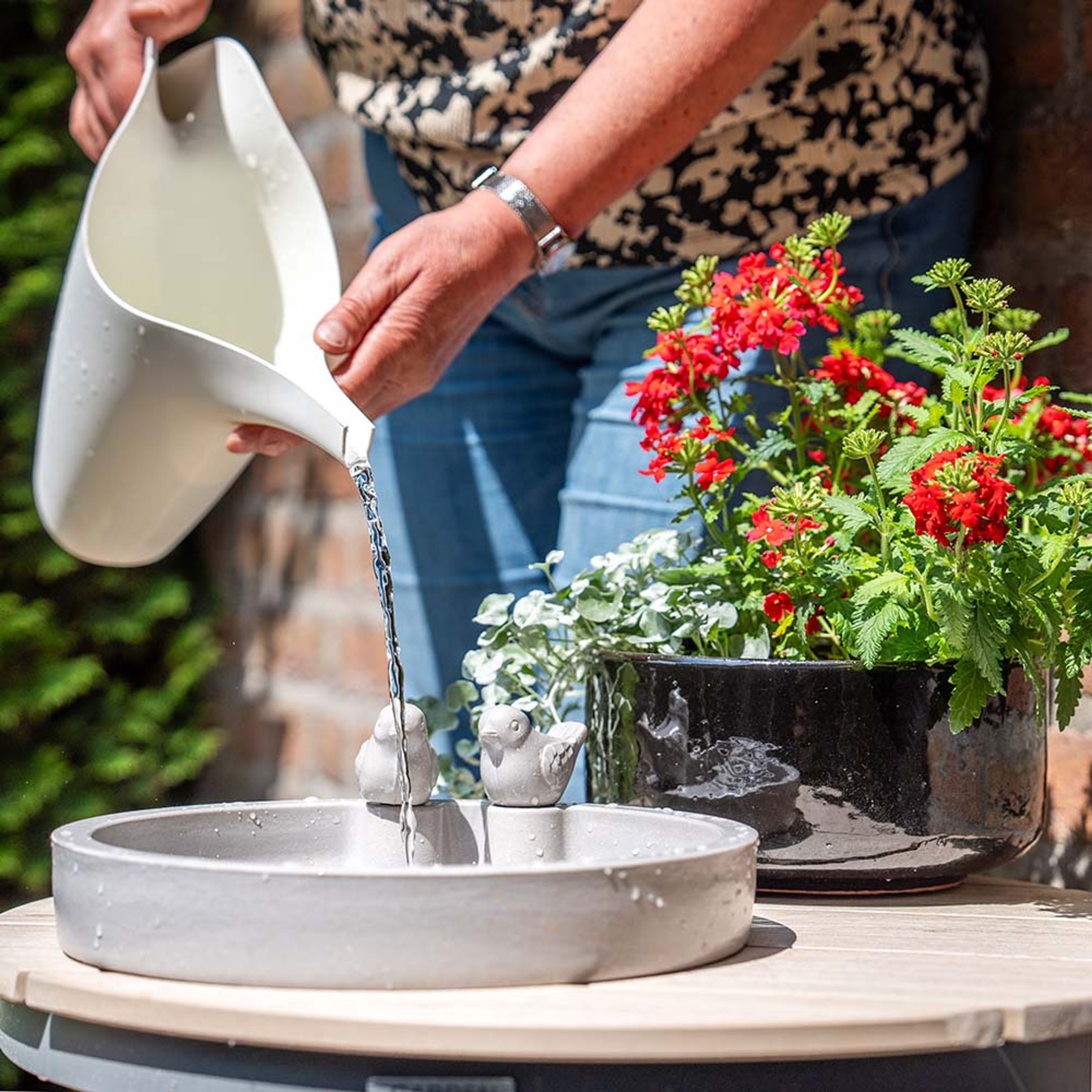 Vogeltränke Thunersee | CJ Wildlife