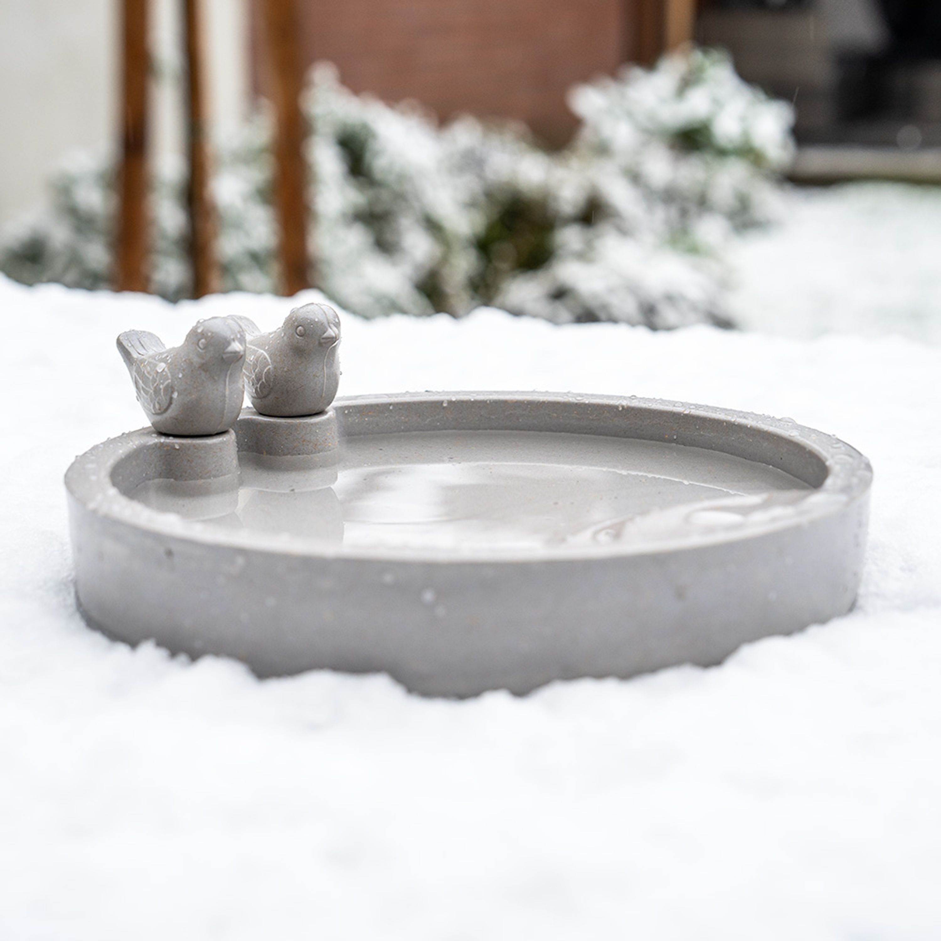 Vogeltränke Thunersee | CJ Wildlife