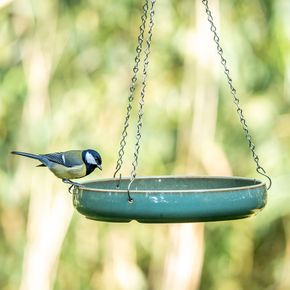 National Trust Vierno Bird Bath