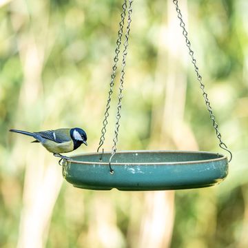 National Trust Vierno Bird Bath
