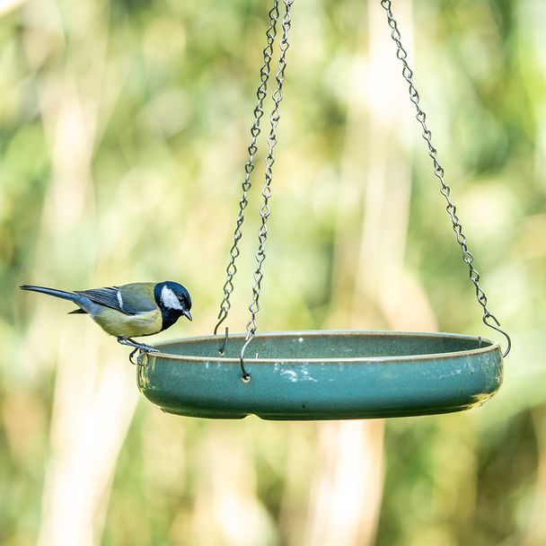 National Trust Vierno Bird Bath