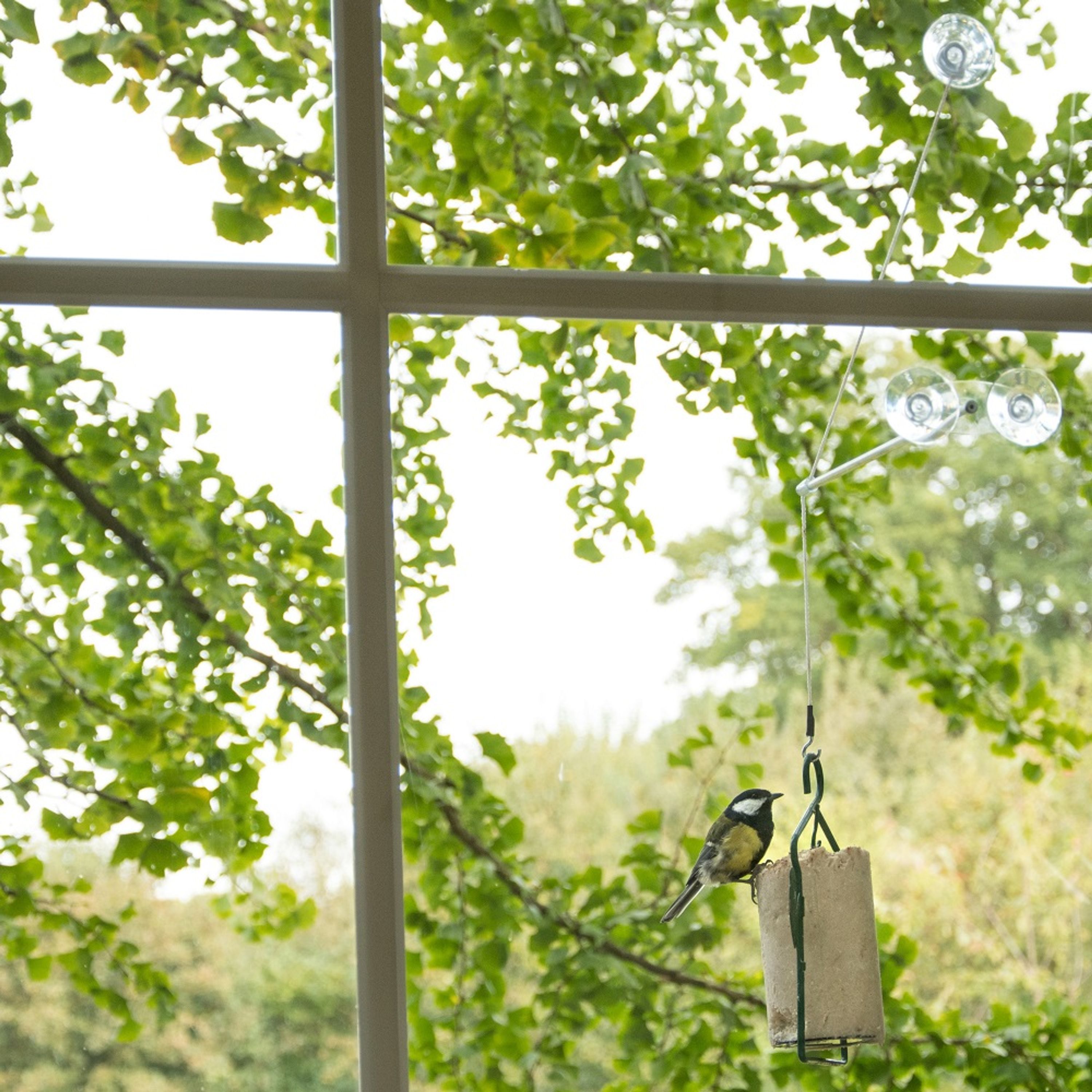 Fenster-Aufhängung „Bird Swing XXL“ | CJ Wildlife