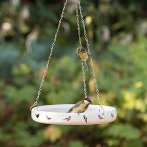 Garden Birds Bird Bath by Elwin Van der Kolk