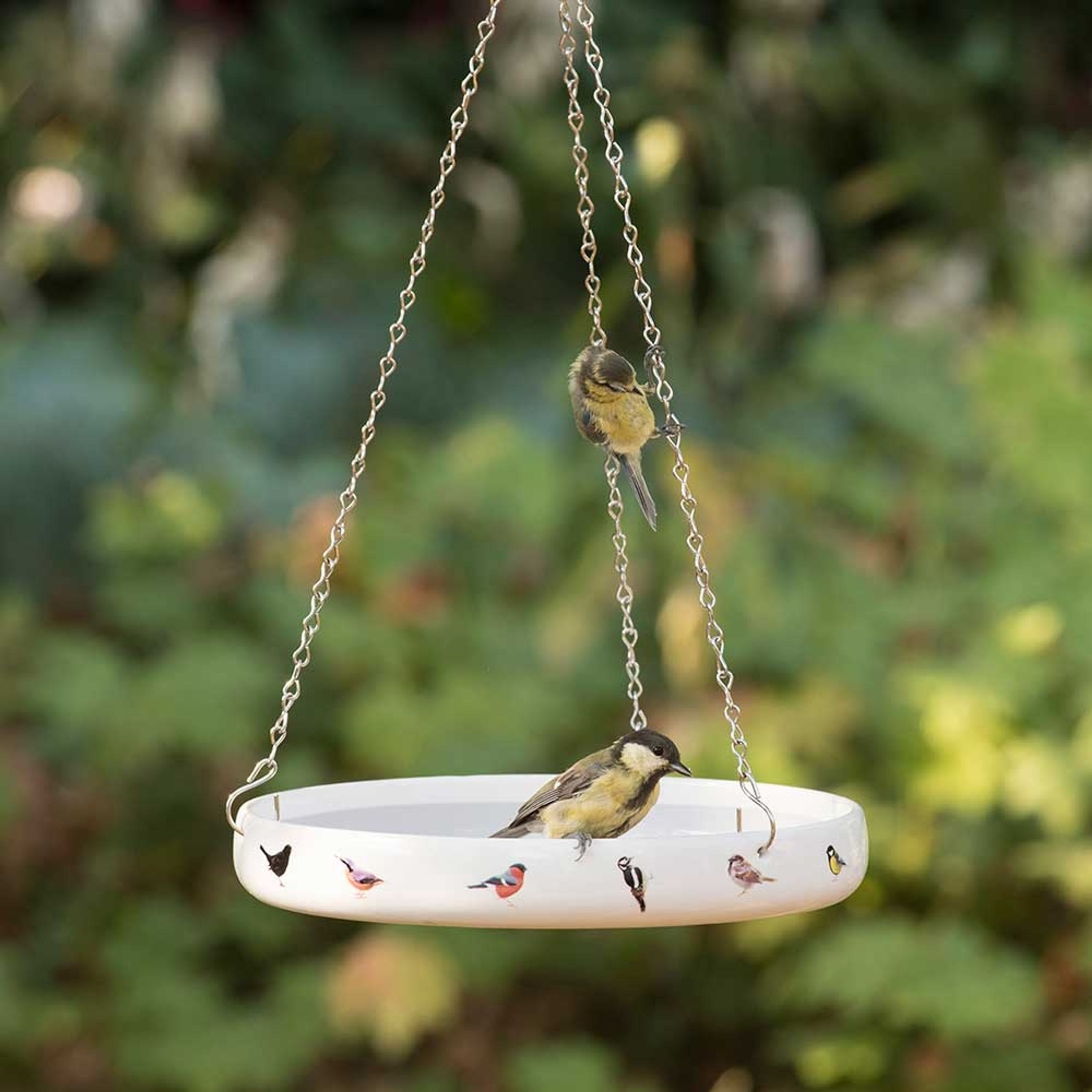 Meilleurs prix pour Abreuvoir oiseaux du jardin | Abreuvoir Porcelaine | Illustrations Oiseaux | Crochet suspension | Abreuvoirs à oiseaux | Vivara