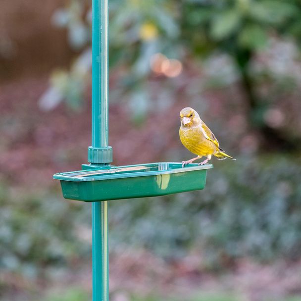 Vivara combi waterschaal