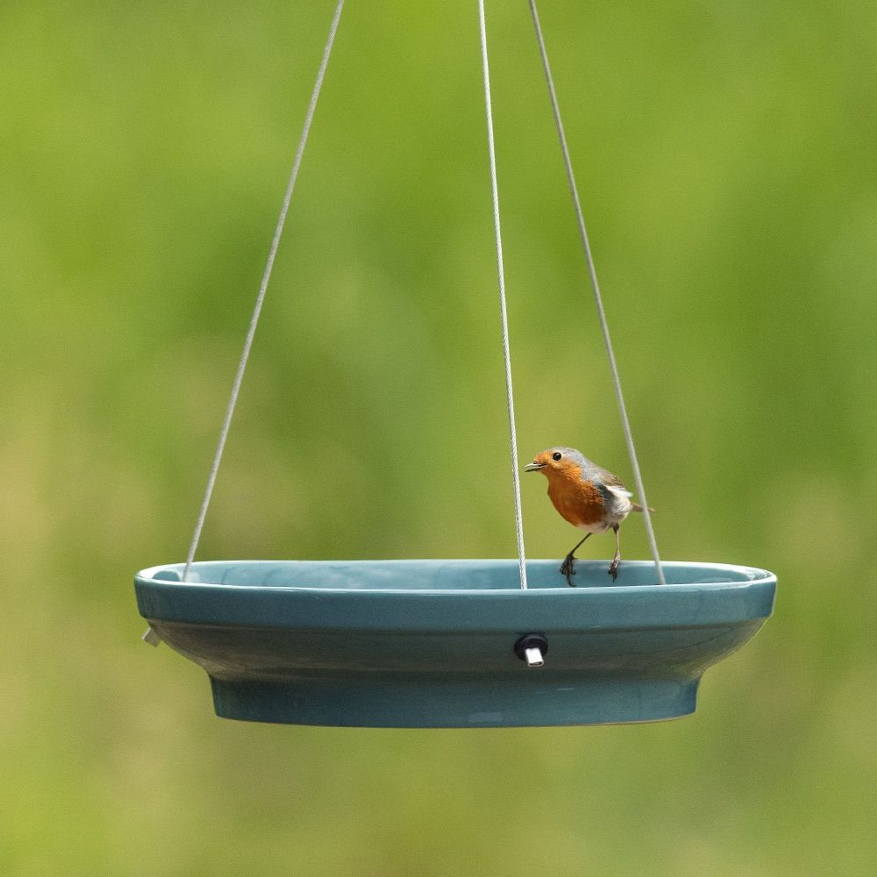 Hängende Wasserschale „Vesi” blau | CJ Wildlife – CJ Wildlife