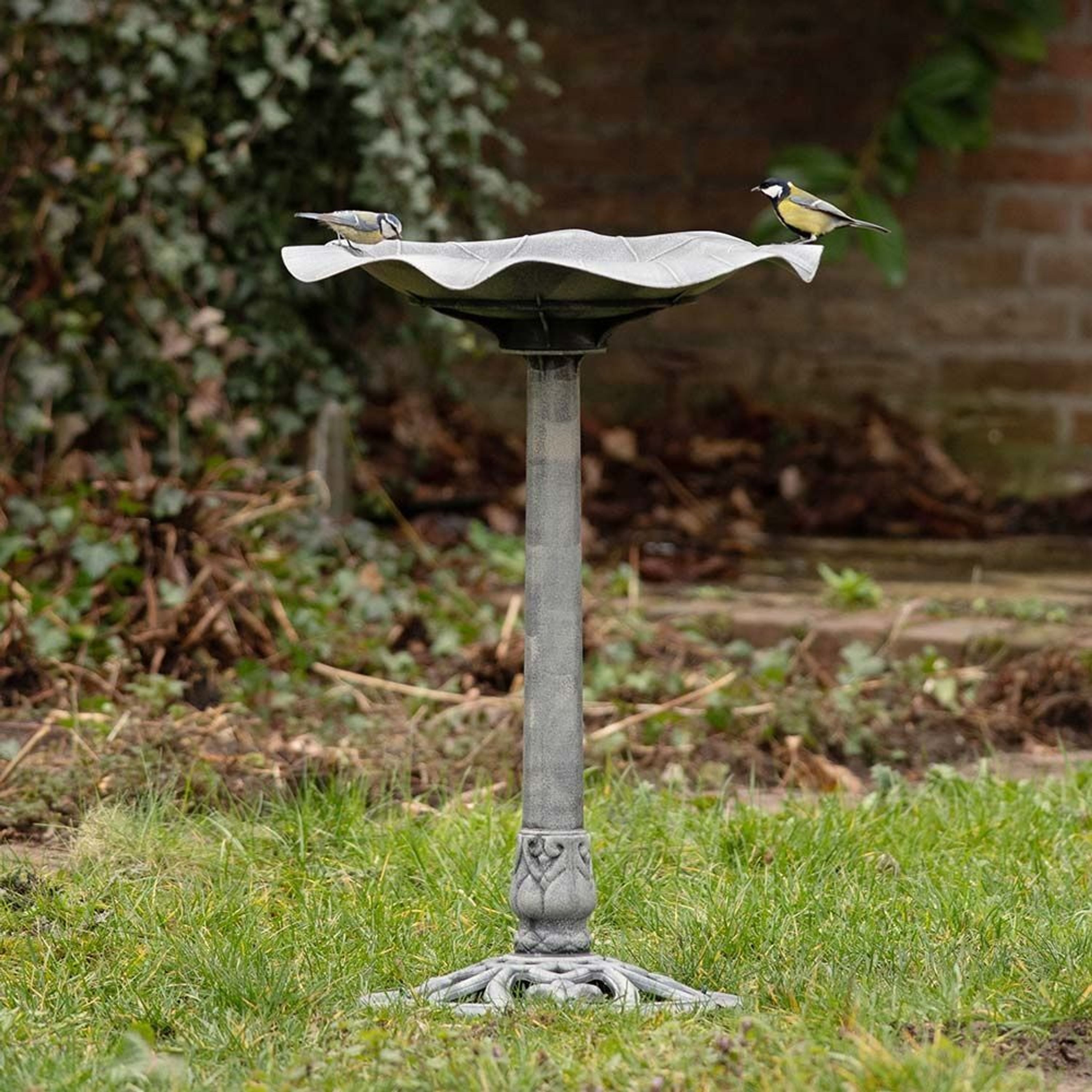 Vogeltränke Silbersee | CJ Wildlife
