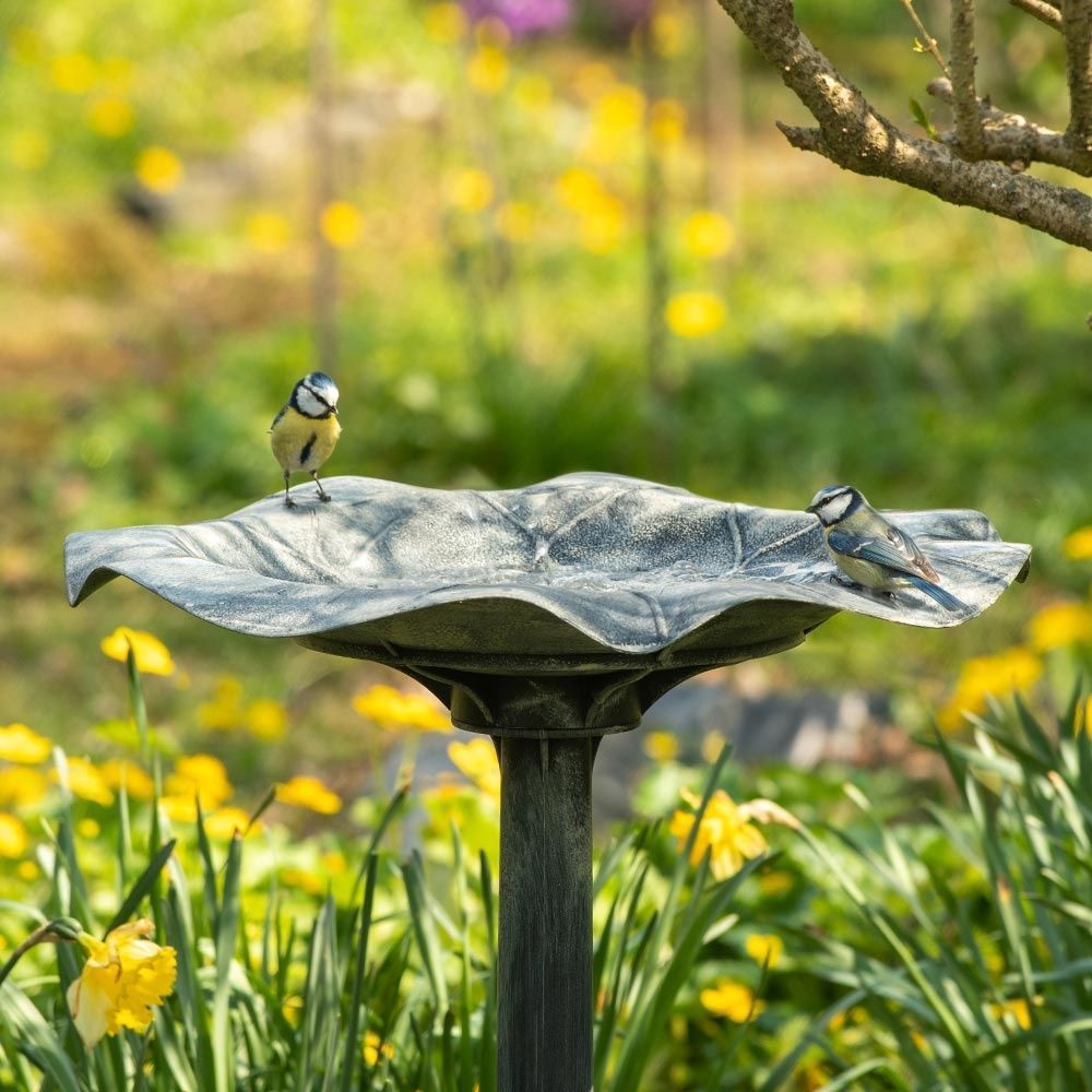 Vogelvoederbakje