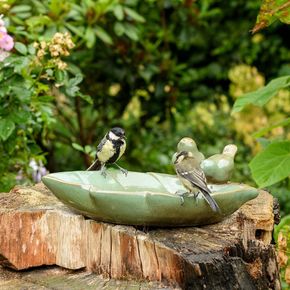 Almsee Water Dish