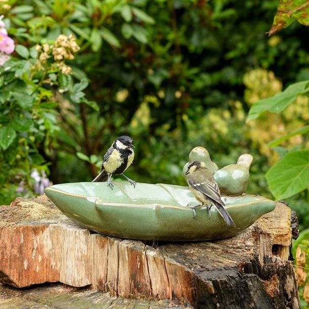 Almsee Water Dish