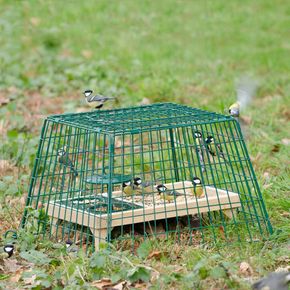 Ground Feeder Guardian Cage - Small Mesh
