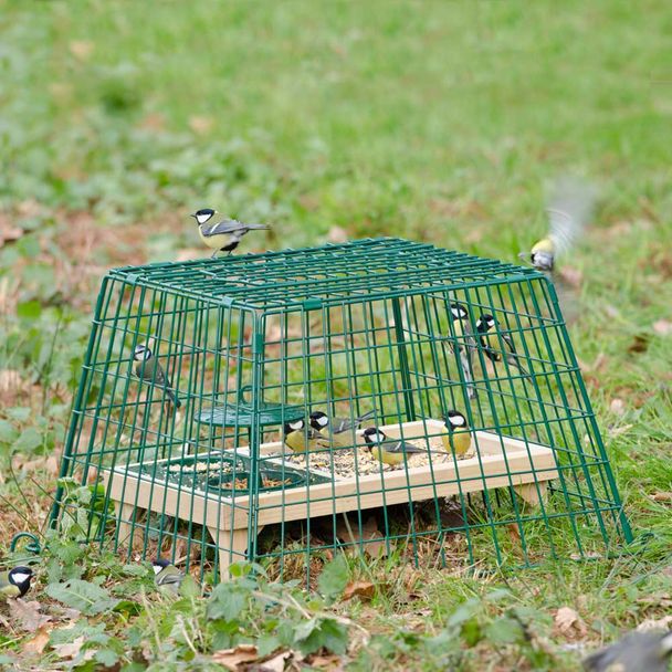 Ground Feeder Guardian Cage - Small Mesh