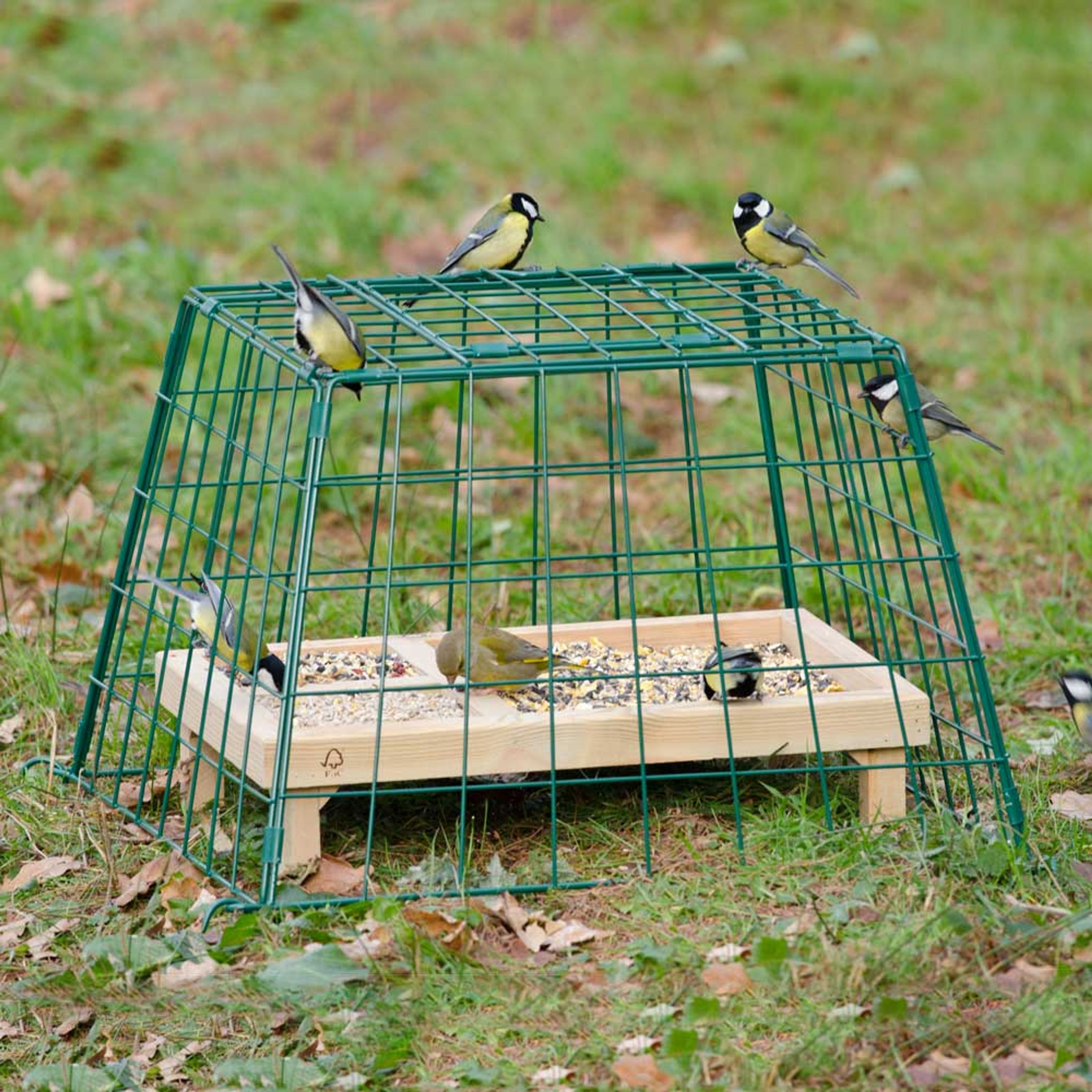 Comparer les prix de Cage de protection grandes mailles | Protection Métal | Cage de protection mangeoire | Protection mangeoire oiseaux | Vivara