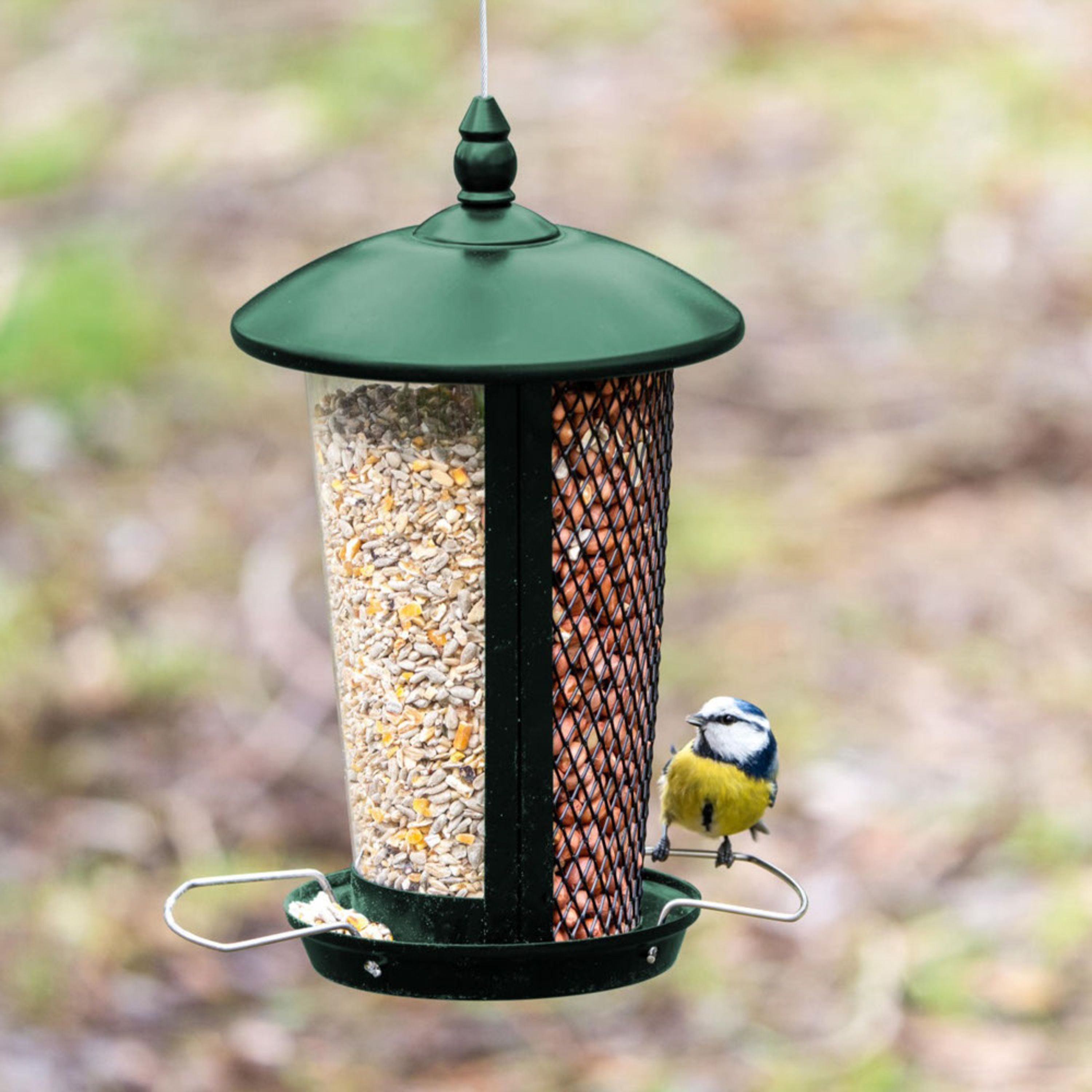 Comparer les prix de Mangeoire Evia - vert | CJ Wildlife