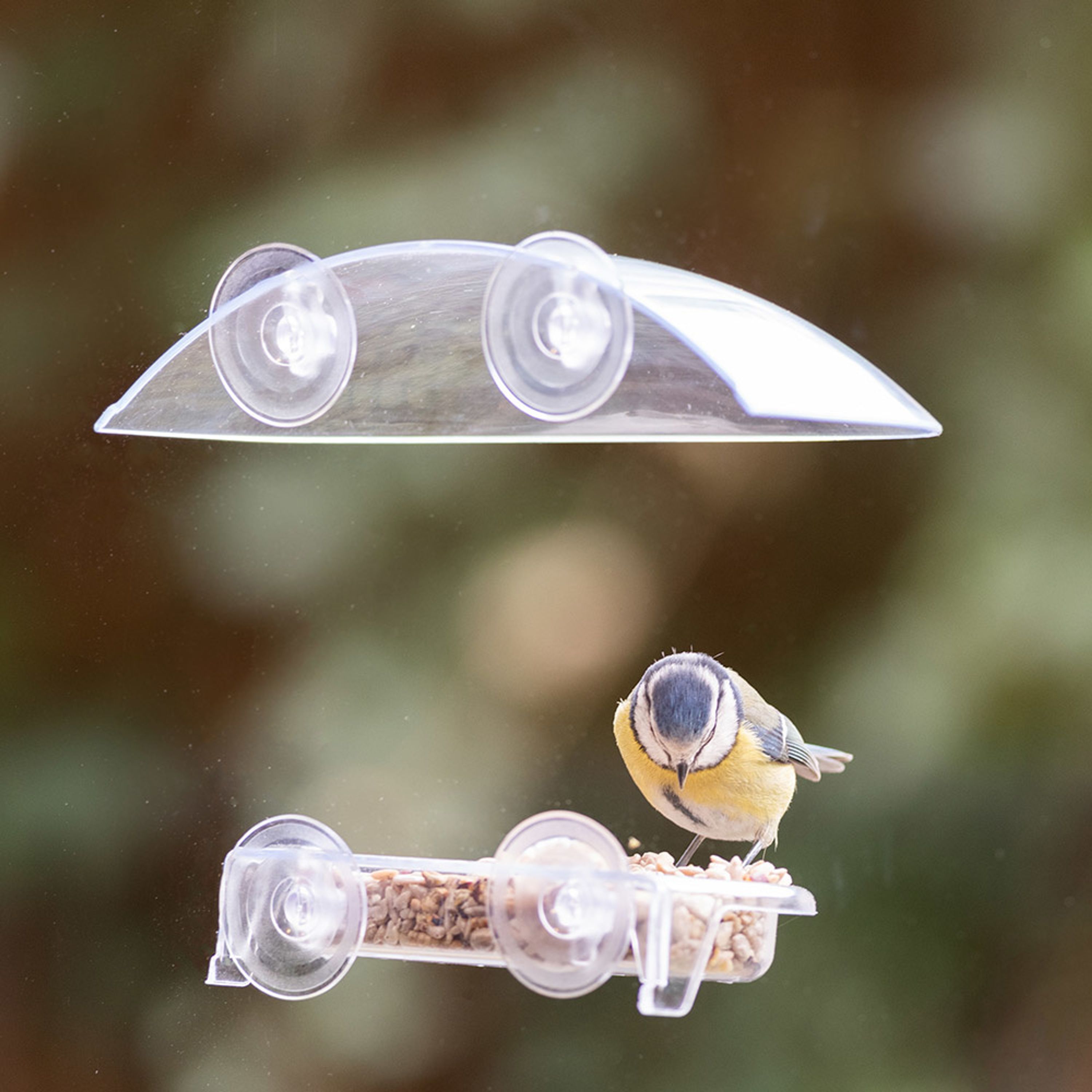 Fenster-Futterschale „Bordeaux“ | CJ Wildlife