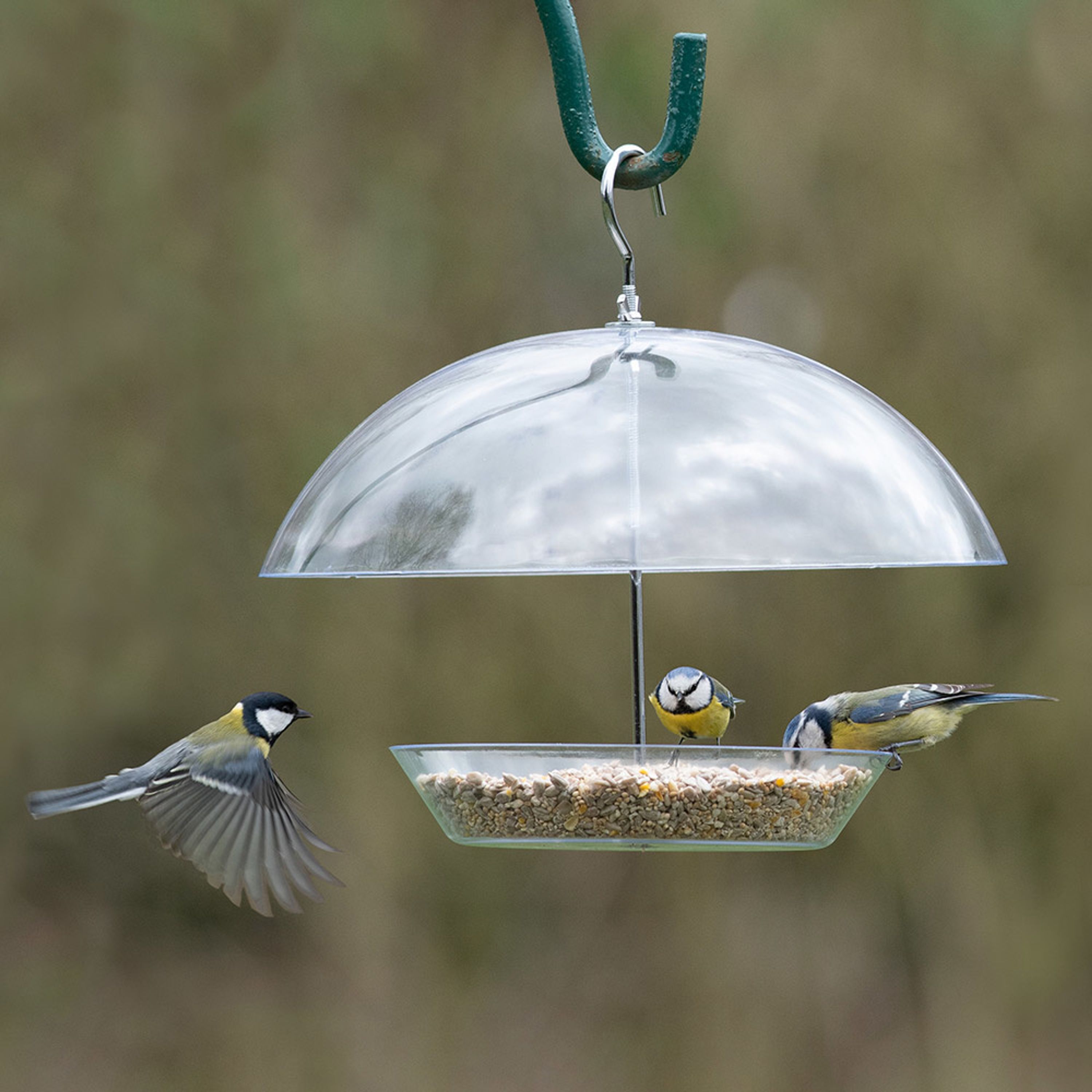 Hangende voedertafel Nantes | CJ Wildlife |  | Partner van Vogelbescherming Nederland