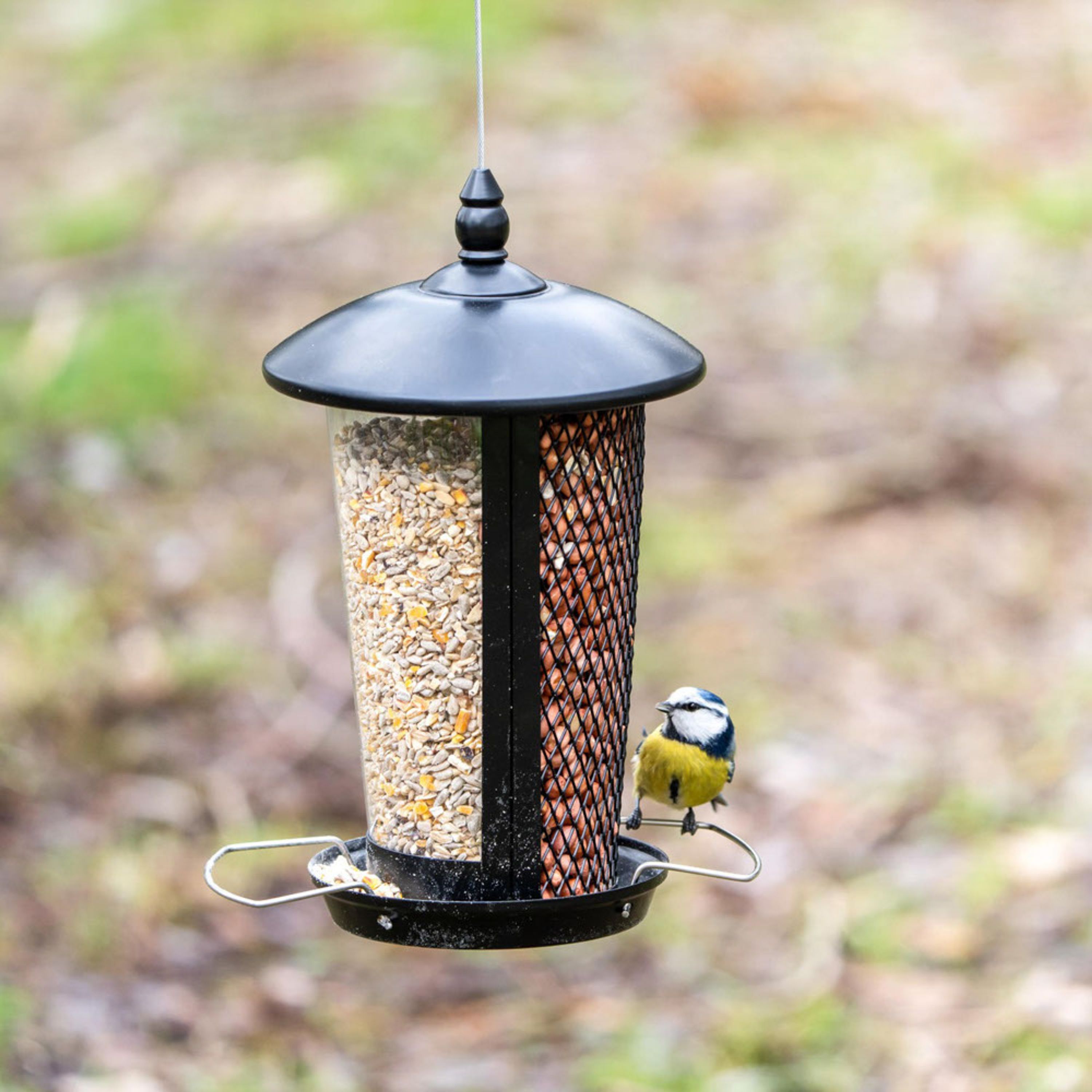 Meilleurs prix pour Mangeoire Evia - noir | CJ Wildlife