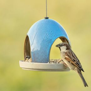 Vierno Tavern Bird Feeder + FREE Seed Mix Starter Bundle