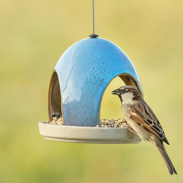 Vierno Tavern Bird Feeder + FREE Seed Mix Starter Bundle