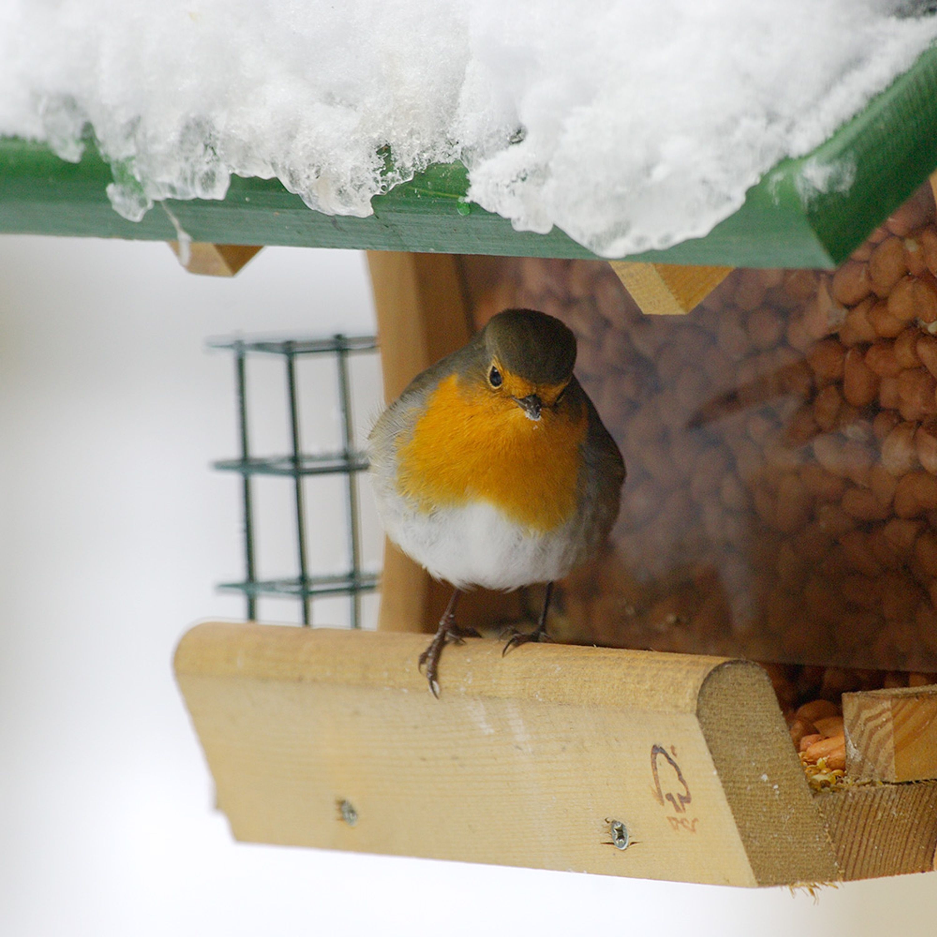 Futterhaus „Mosel“ | CJ Wildlife