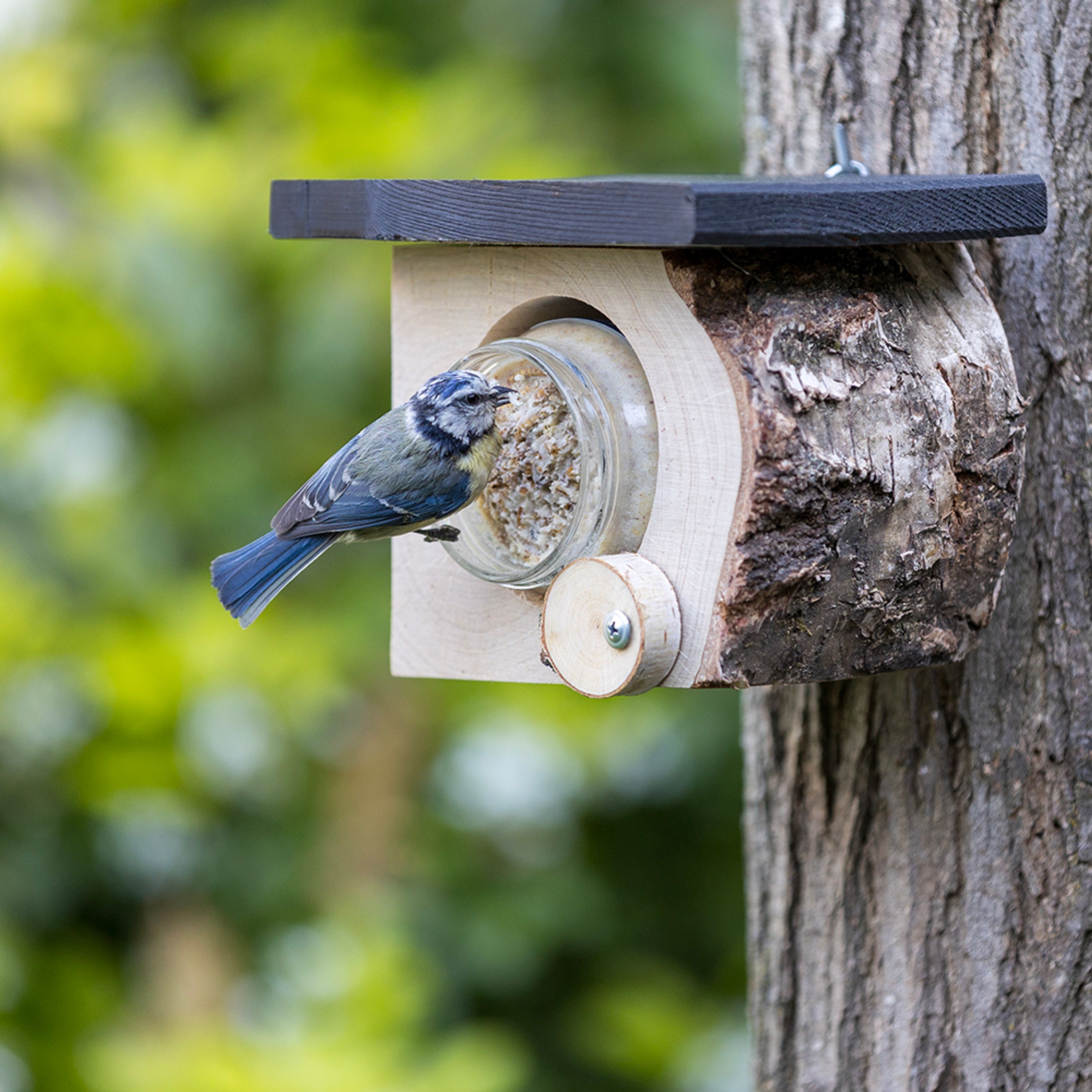 Erdnussbutter-Halter Montreal | CJ Wildlife – CJ Wildlife