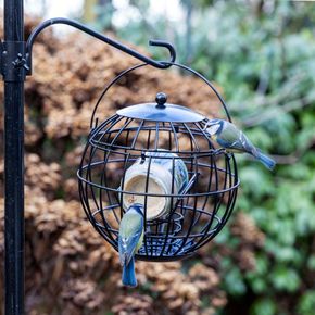 Oxford Guardian Caged Peanut Butter Feeder