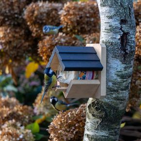 Vogelspotcast Pindakaaspothouder Wieden