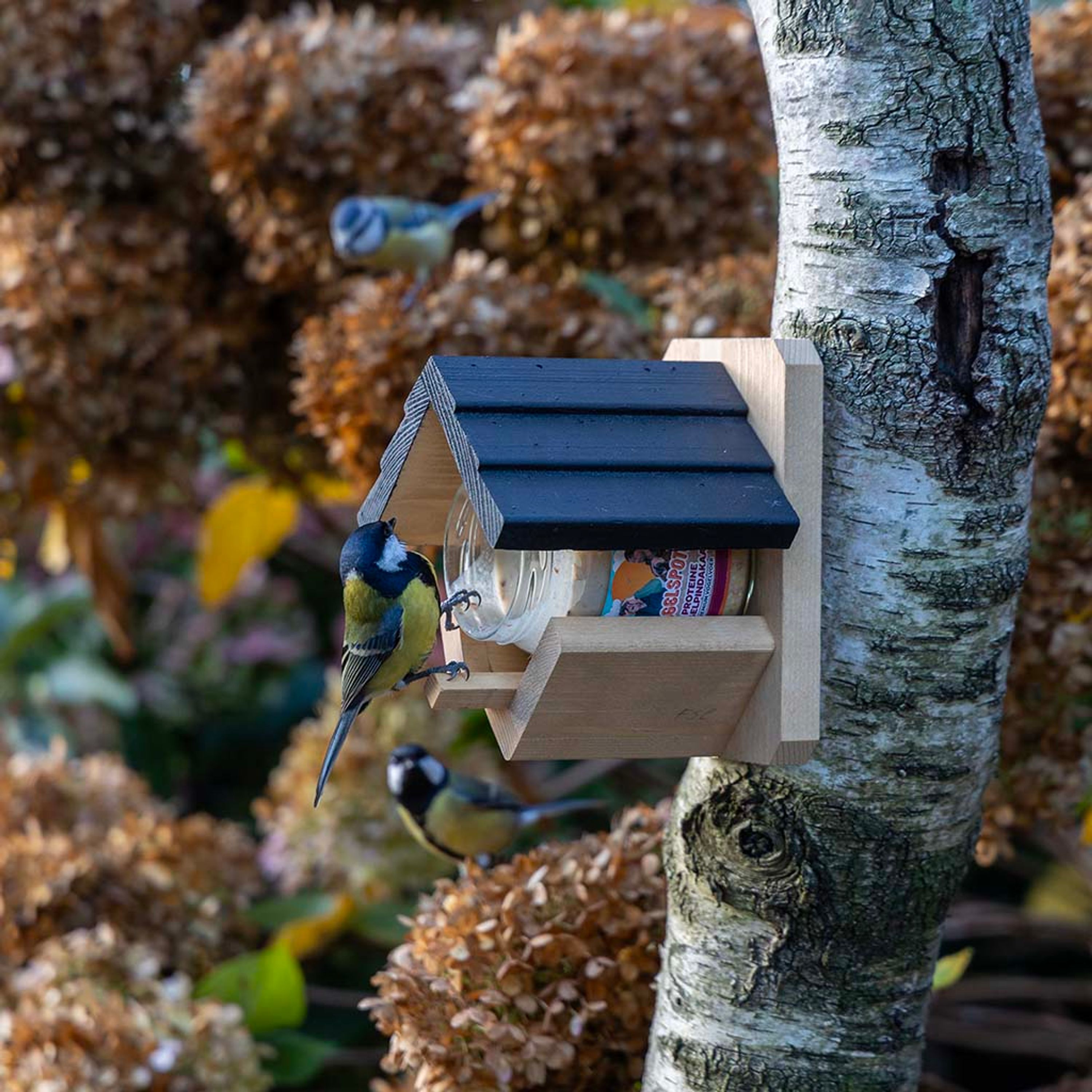 Vogelspotcast Pindakaaspothouder Wieden | Vogelspotcast
