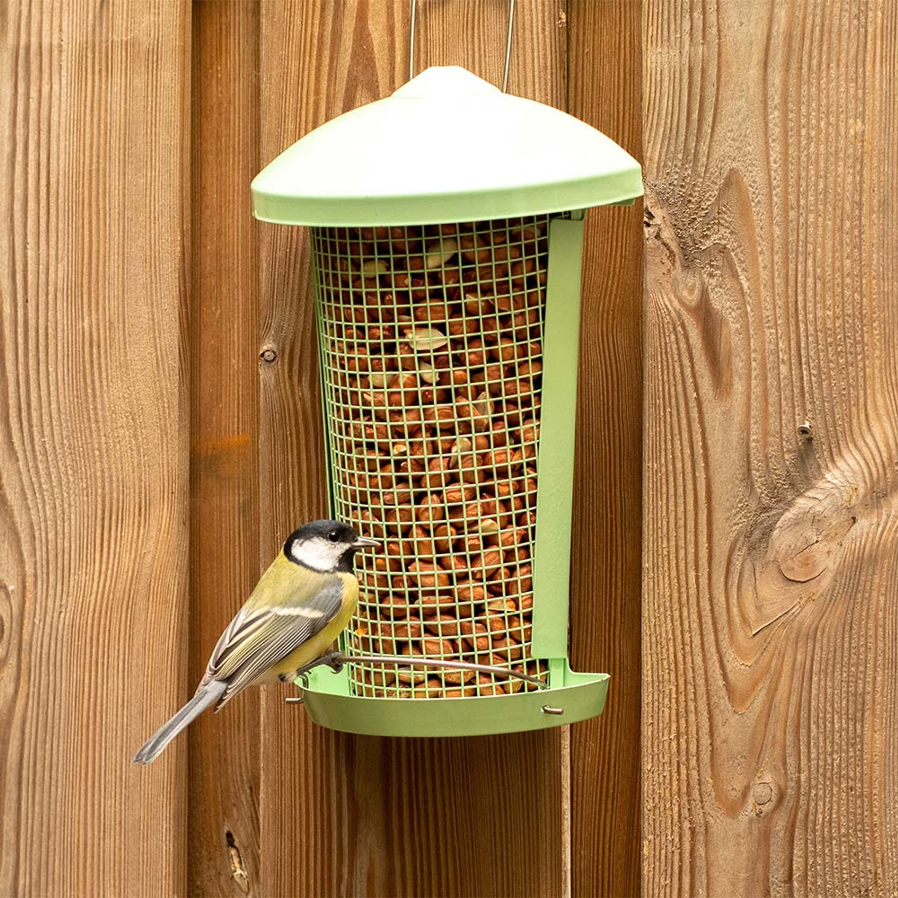 Erdnußsäule Hios minzgrün | CJ Wildlife – CJ Wildlife