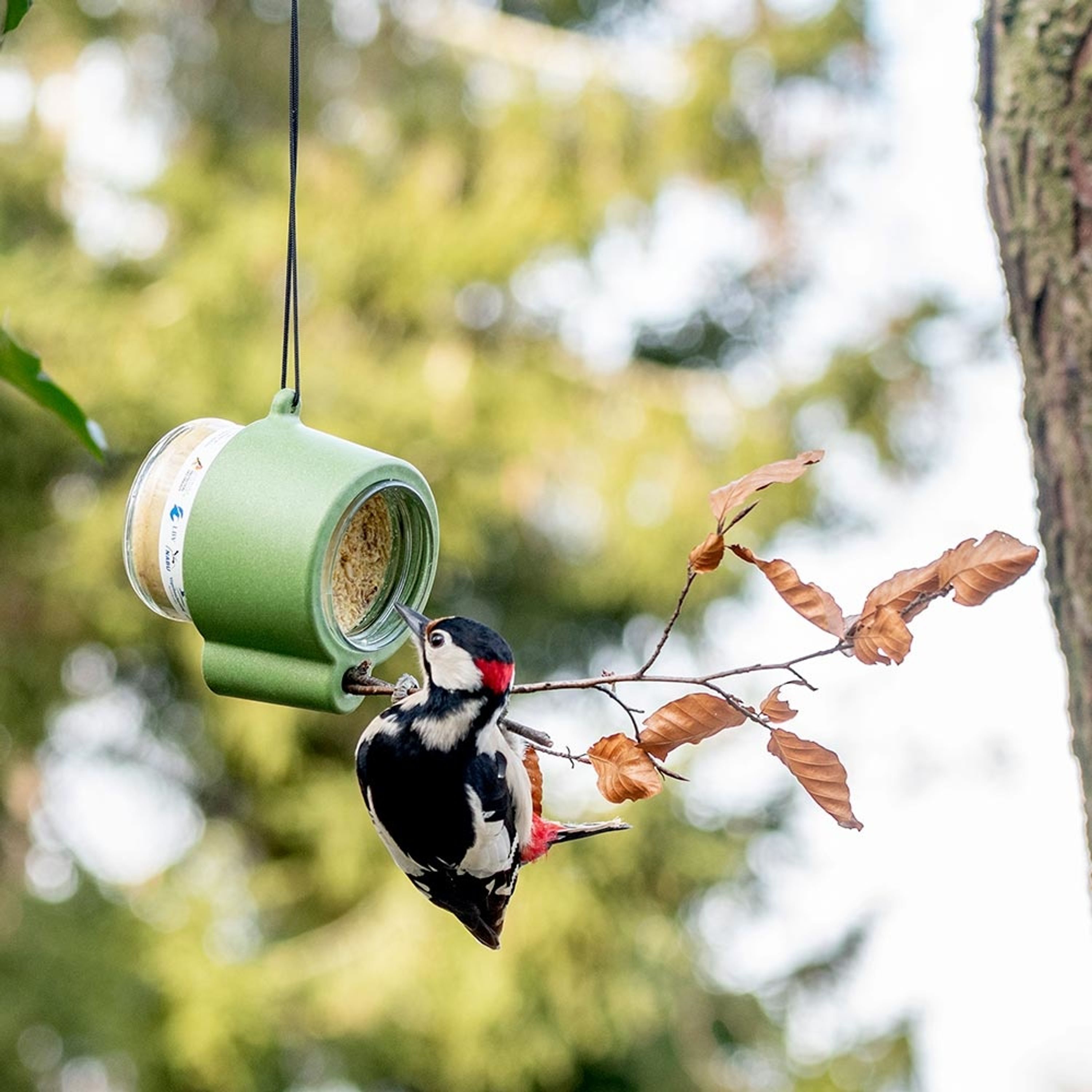 Erdnußbutterglas-Halter Rio | CJ Wildlife