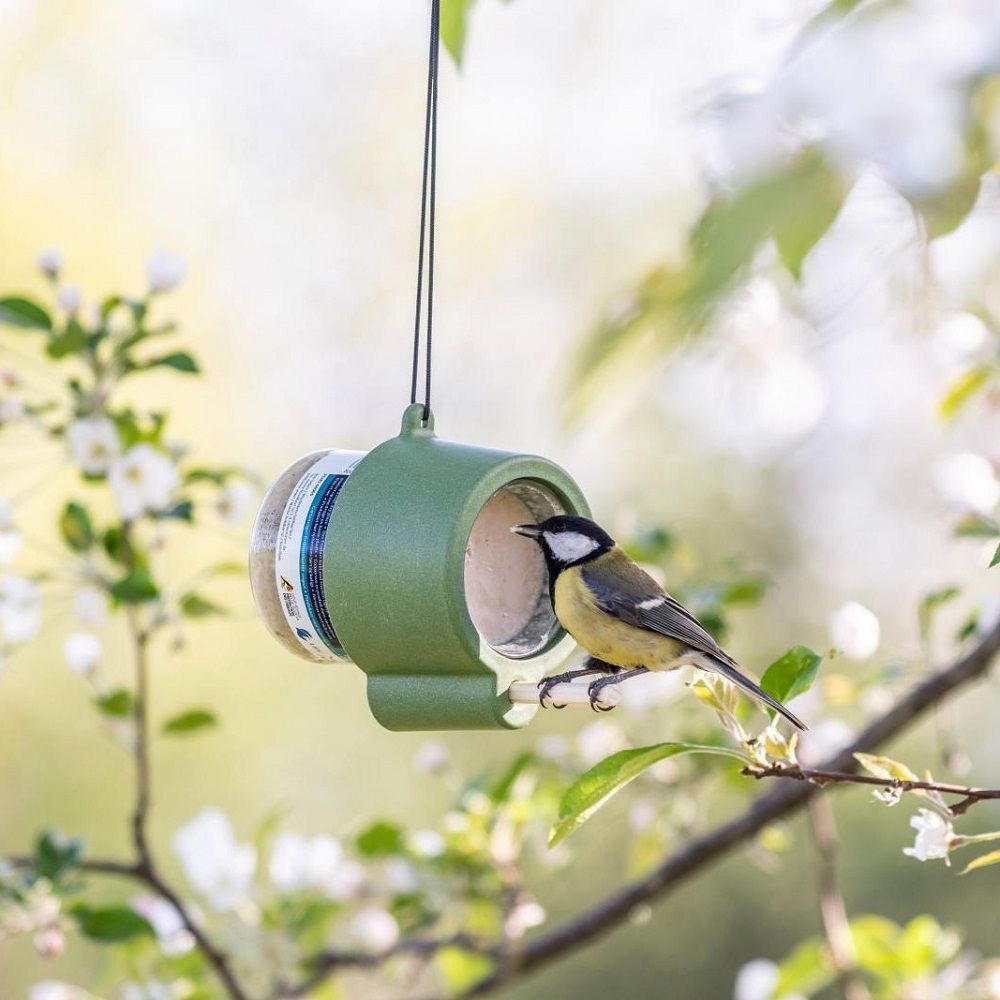 Vogelvoeders voor kleine vogels, geen puinhoop, vogelvoederbak