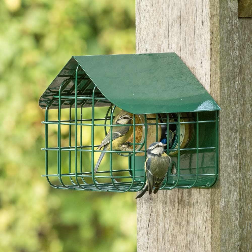 Lot De 30 Cages à Appâts Pour Pêche à La Carpe - 30g, Idéal Pour Amorcer