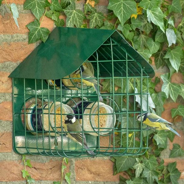 Longford Guardian Caged Peanut Butter Feeder