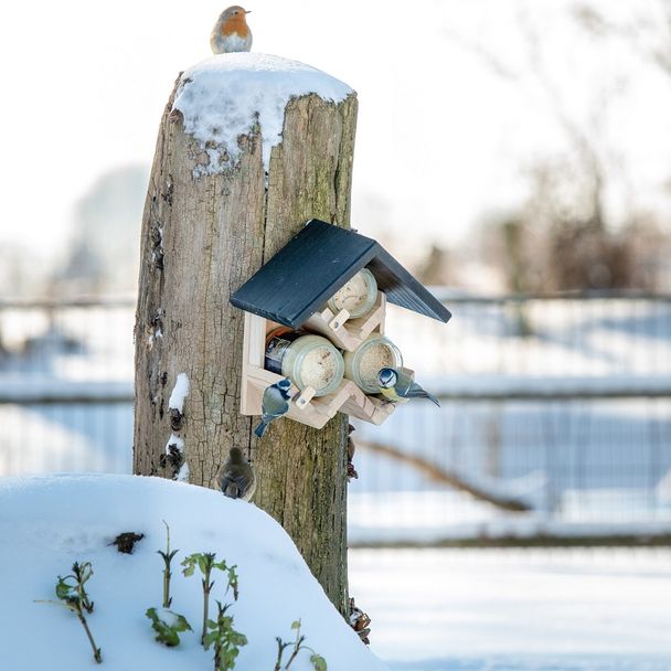 Mangeoire d'oiseaux triple au beurre de cacahuète Westport