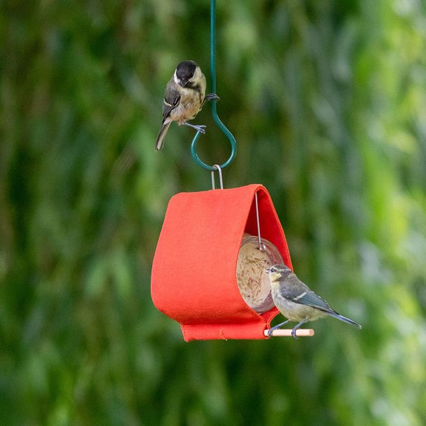Support pour beurre de cacahuètes Malibu - Orange