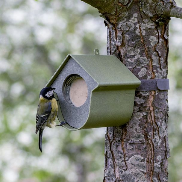 National Trust Evie Peanut Butter Bird Feeder - 100% recycled