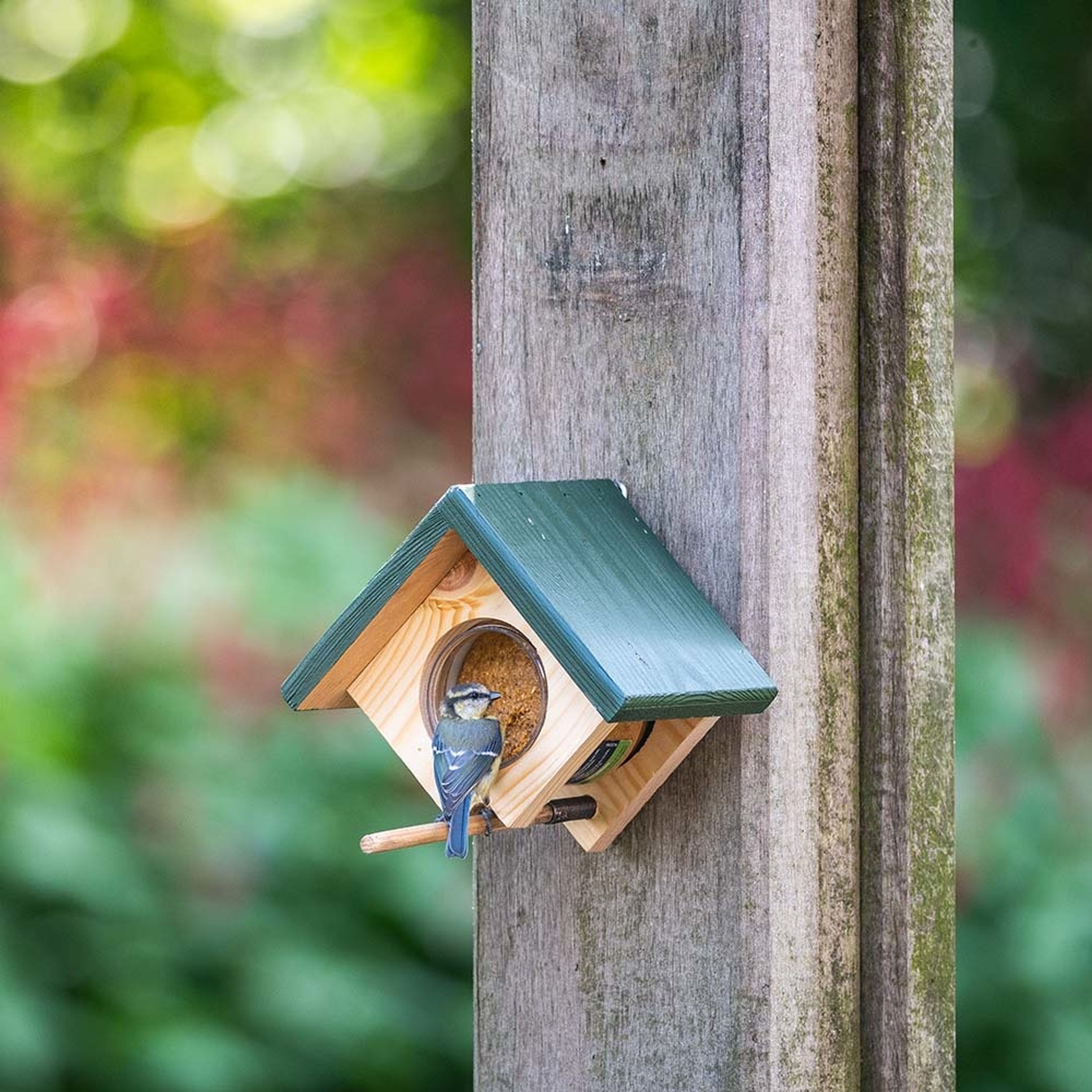 Erdnussbutterglas-Halter „Cork“ zur Wandmontage | CJ Wildlife