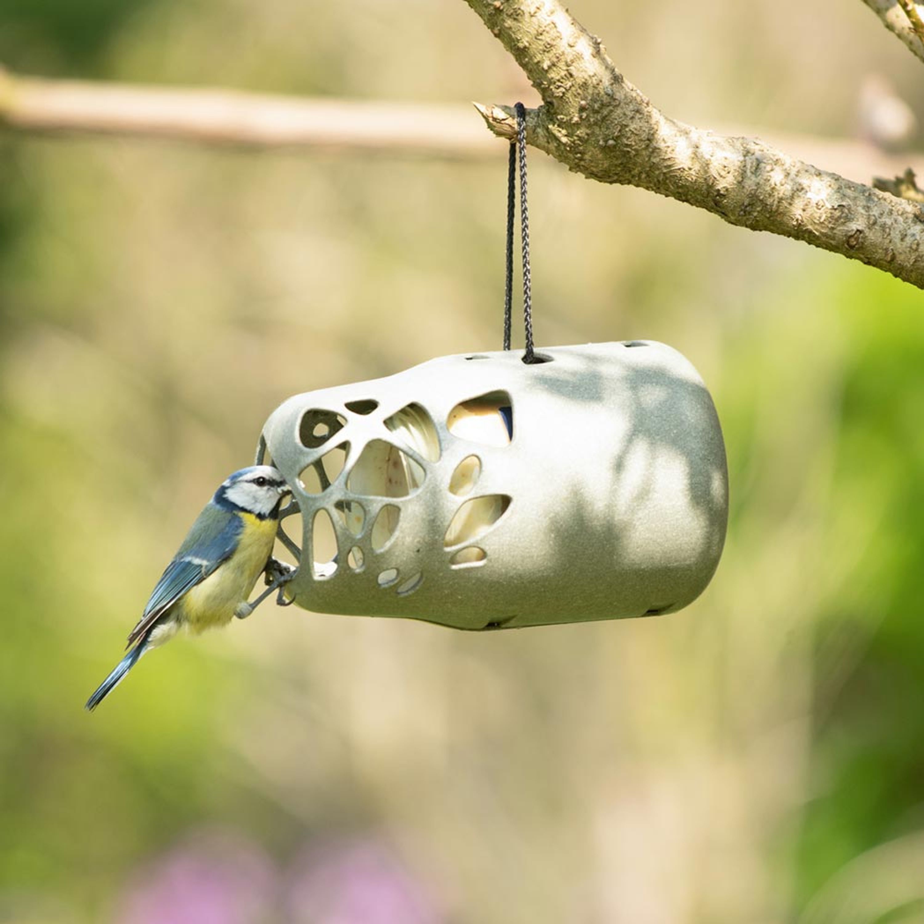 Esmee Futterhalter für Erdnussbutter | SingingFriend – SingingFriend