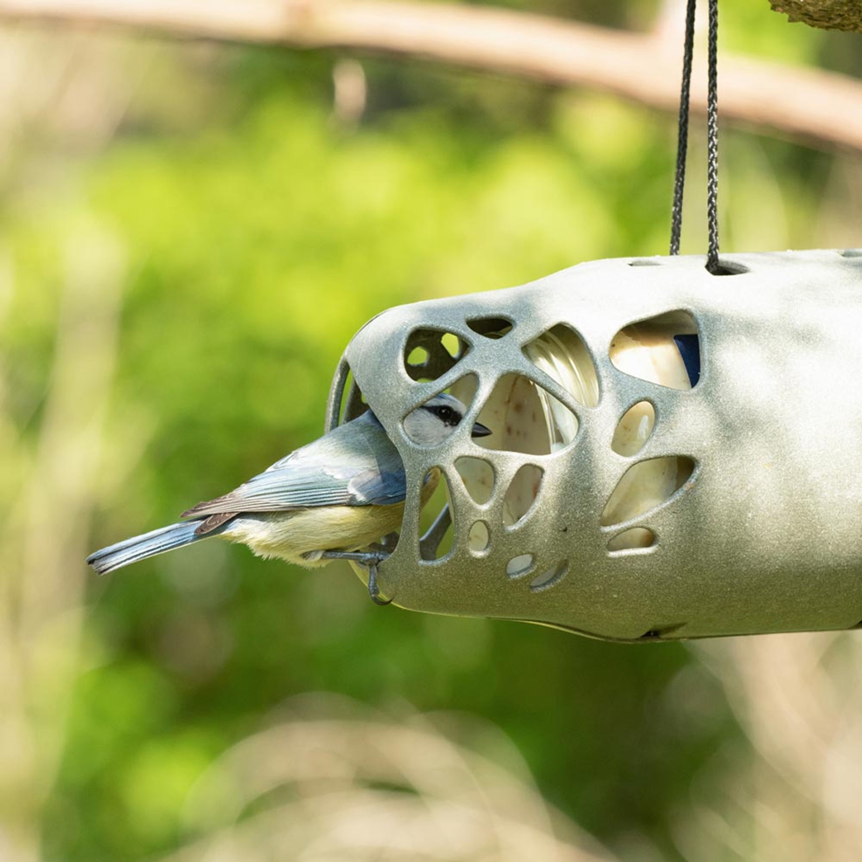 Esmee Futterhalter für Erdnussbutter | SingingFriend