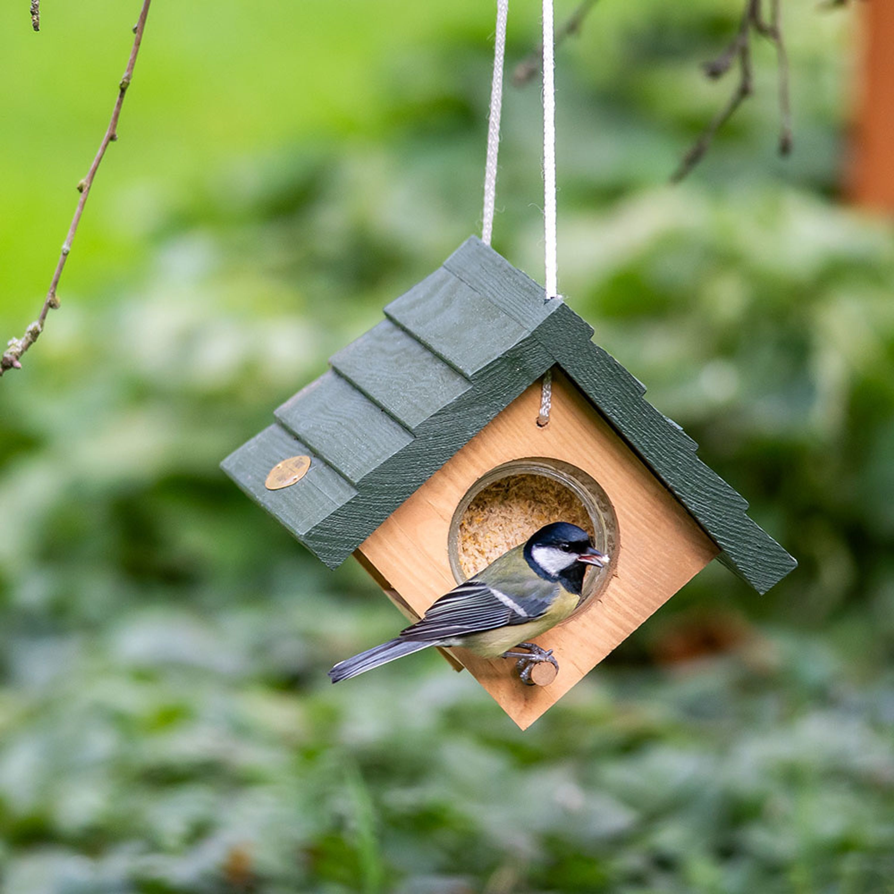 Doppelter Erdnussbutterglashalter „Lifford" | CJ Wildlife