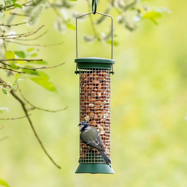 National Trust Peanut Bird Feeder Small Challenger