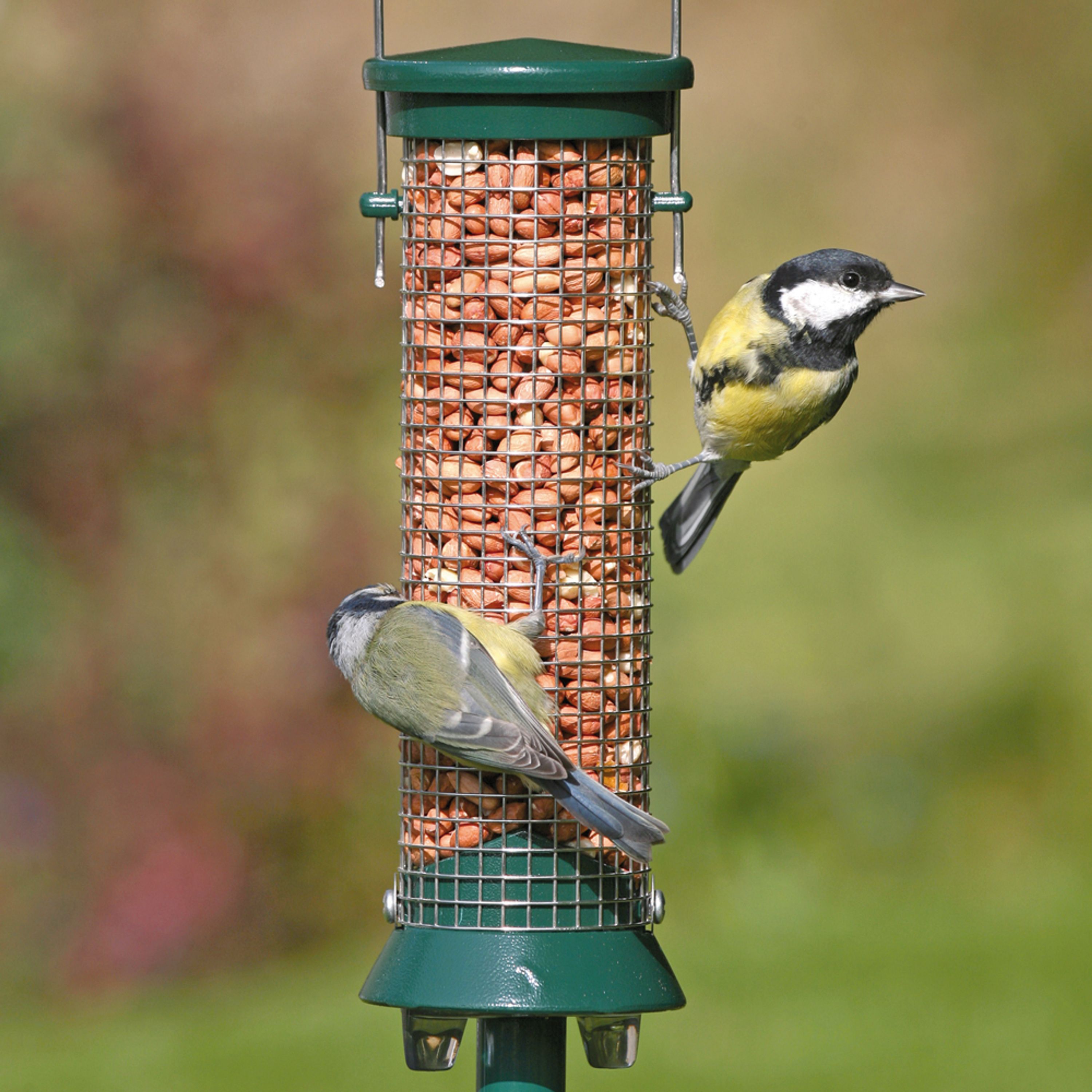 Erdnußsäule Metall 23 cm Grün | CJ Wildlife