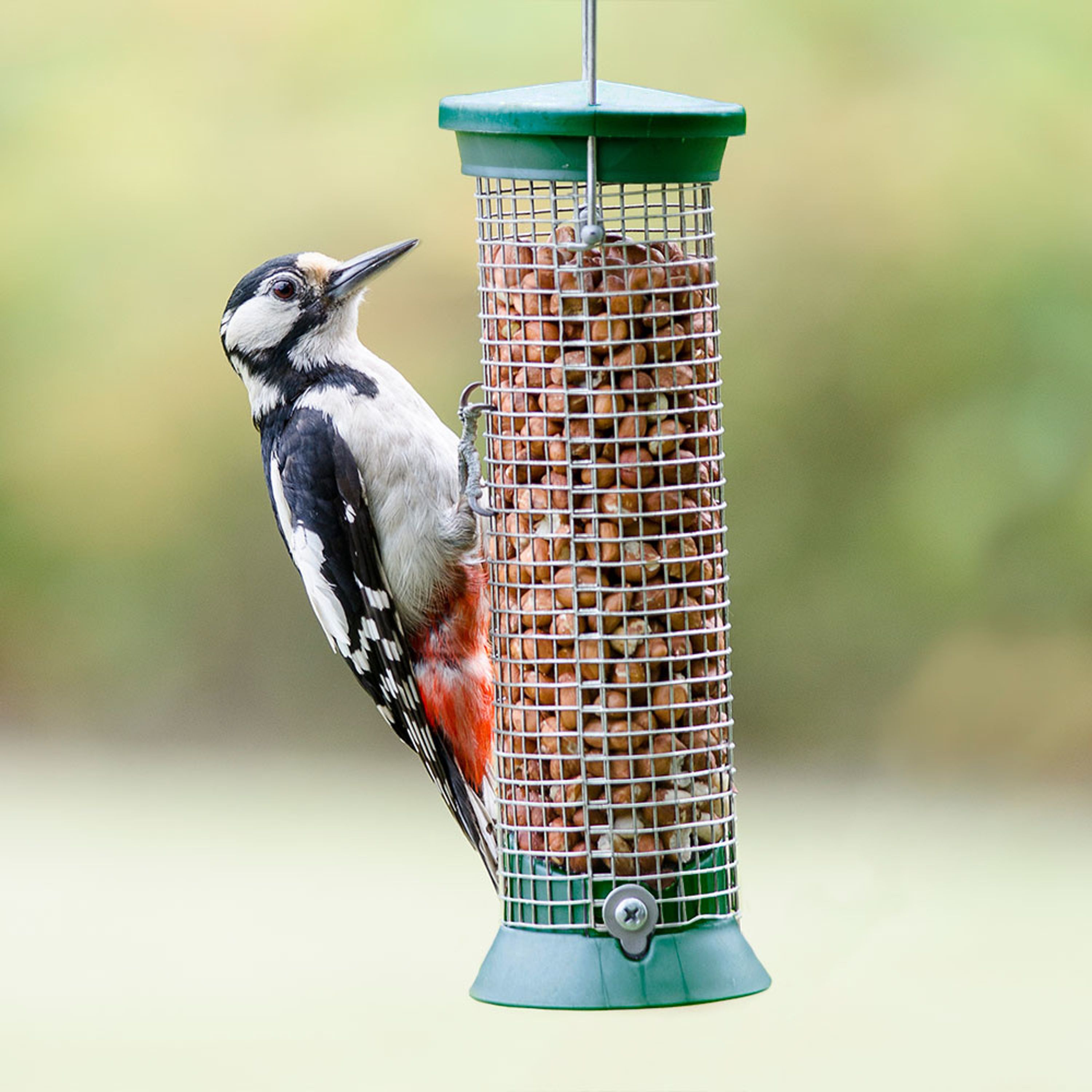 Erdnußsäule Metall 23 cm Grün | CJ Wildlife