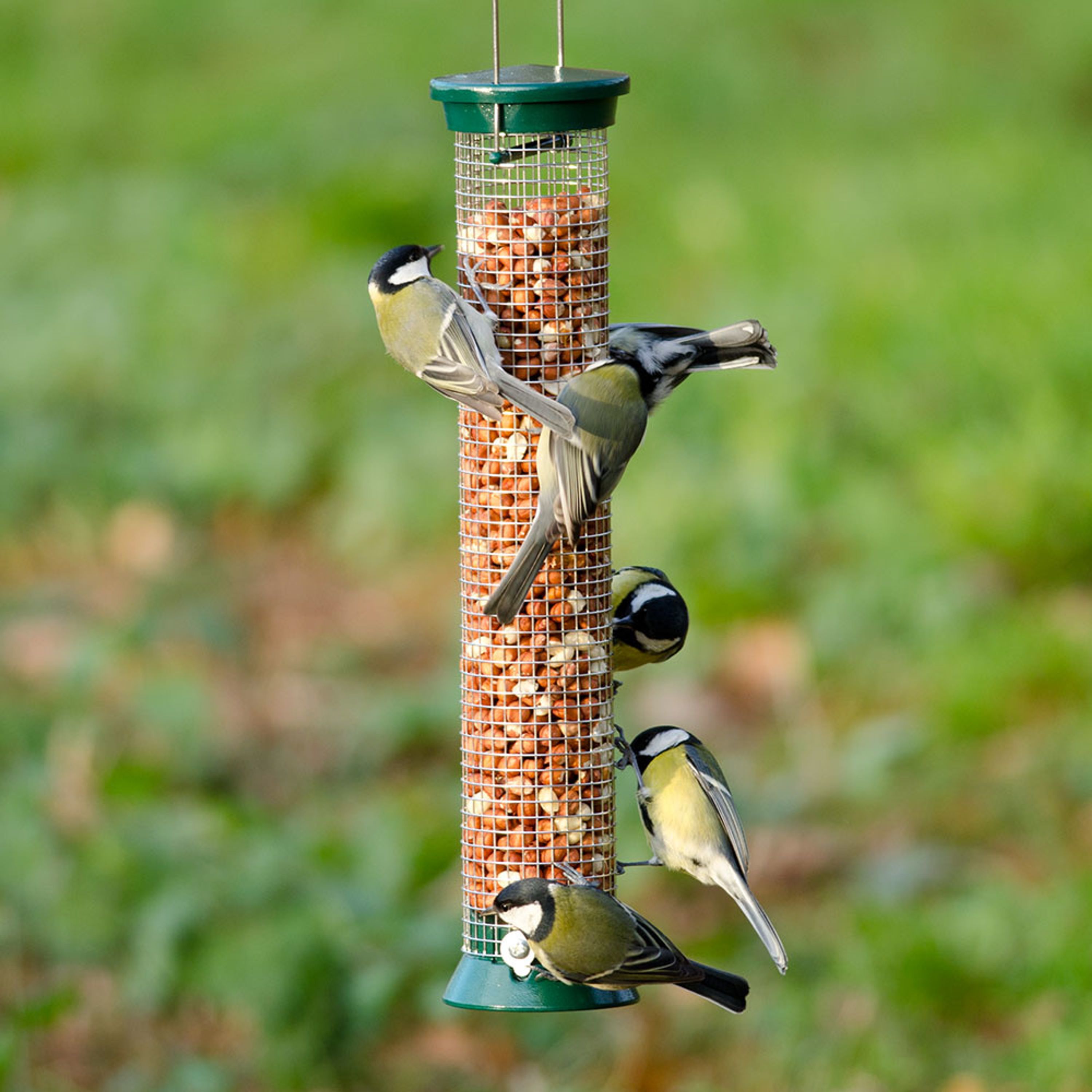 Erdnußsäule Metall 38 cm Grün | CJ Wildlife