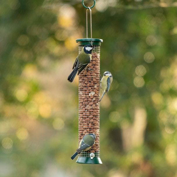National Trust Large Metal Peanut Bird Feeder Defender