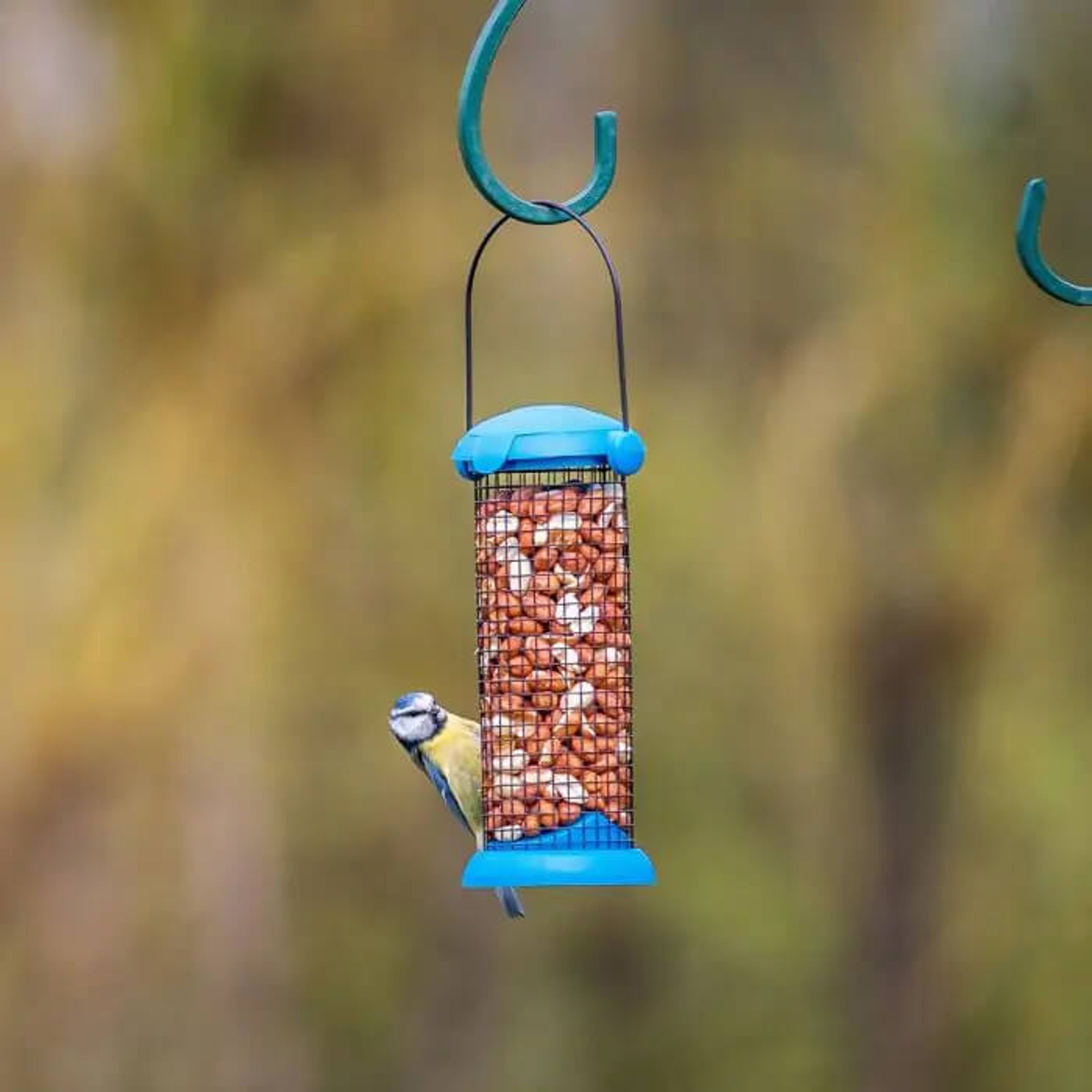 Comparer les prix de Mangeoire pour cacahuètes Easyflip Kids | EasyFlip Bleu | Mangeoires pour cacahuètes | Mangeoires pour oiseaux | Vivara